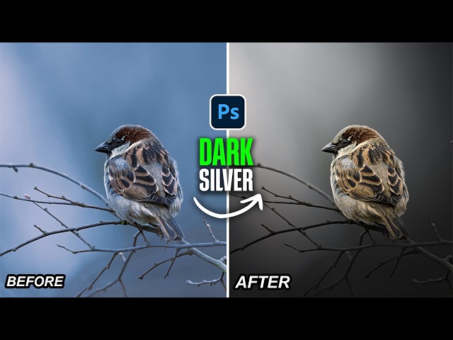 Quickly Create This Dark Silver Color Grading Look Using Masking in Camera Raw