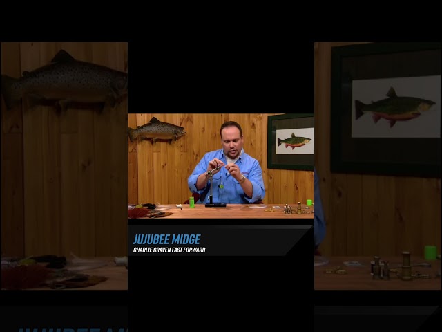 Fly Fisherman Fast Forward: Jujubee Midge