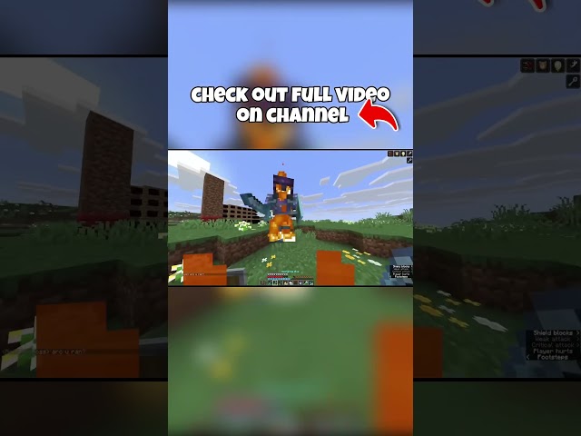 We Got The Strongest Armor On This SMP #minecraft #lifstealsmp #smp #shortsfeed #shorts