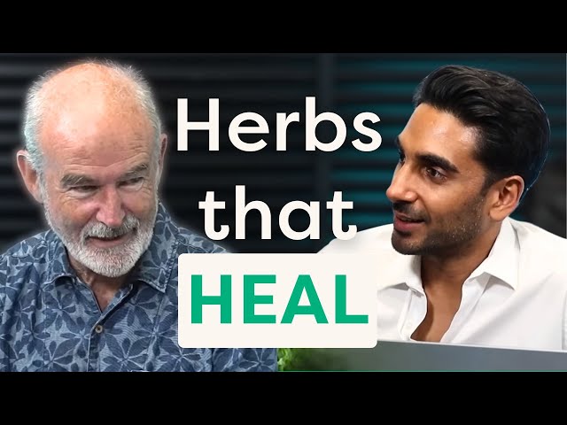 Turmeric, ginger and cinnamon: Everyday medicine in your kitchen | Simon Mills