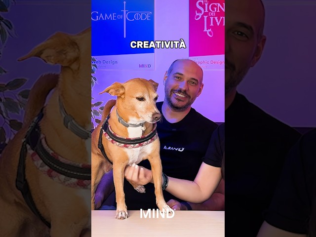 LA CREATIVITÀ È UNA SOFT SKILL IMPORTANTE! 🐶
