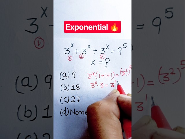 Exponential 🔥