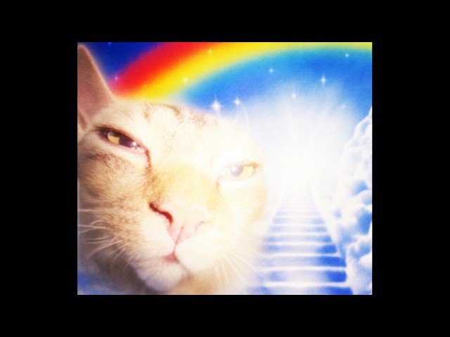 if this background music found you, life will get better