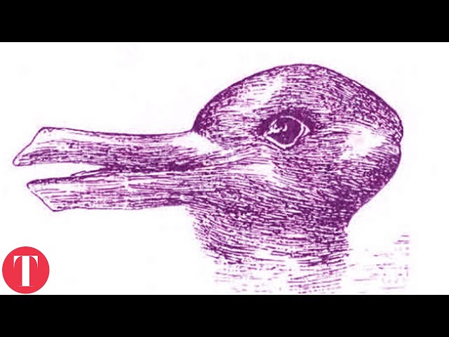 10 Optical Illusions That Will Make You Think