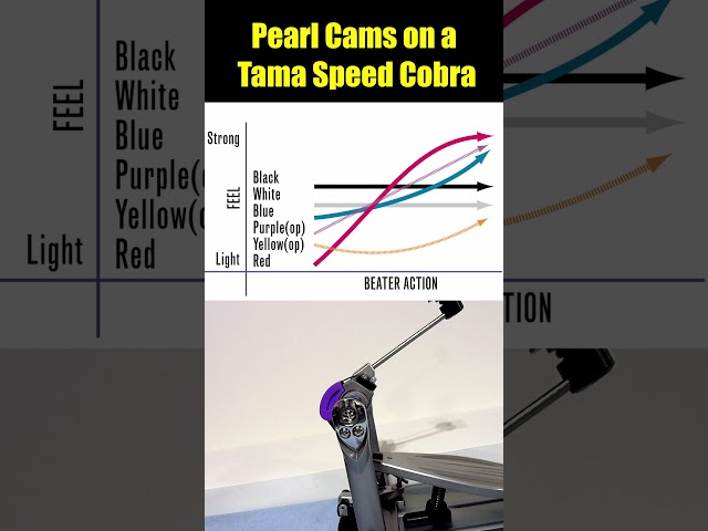 All 6 Pearl Cams on a TAMA Speed Cobra! 🥁
