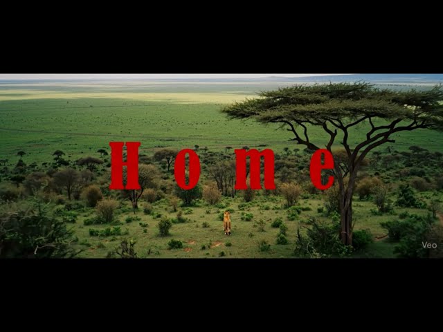 Home | Created with Google Veo3 | AI-Generated Short Film