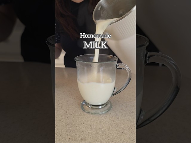 This Nut Milk Maker is a game changer!