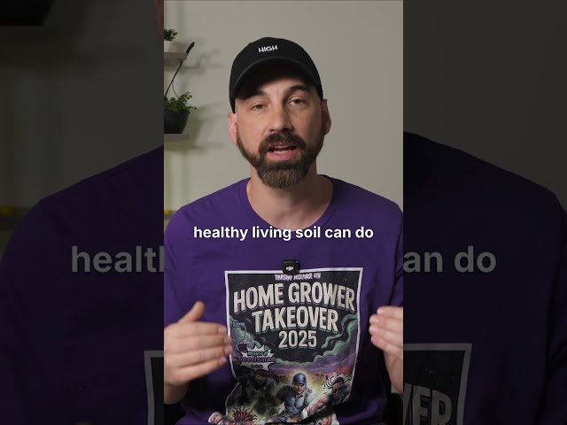 Organic Doesn't Mean You Can Ignore Nutrients