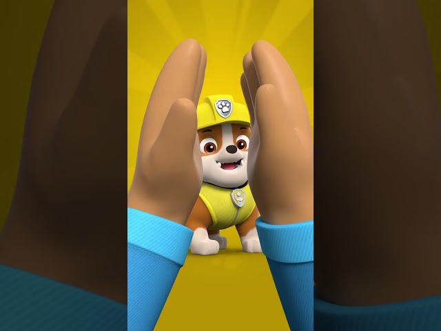 Clap to Meet the Paw Patrol #short