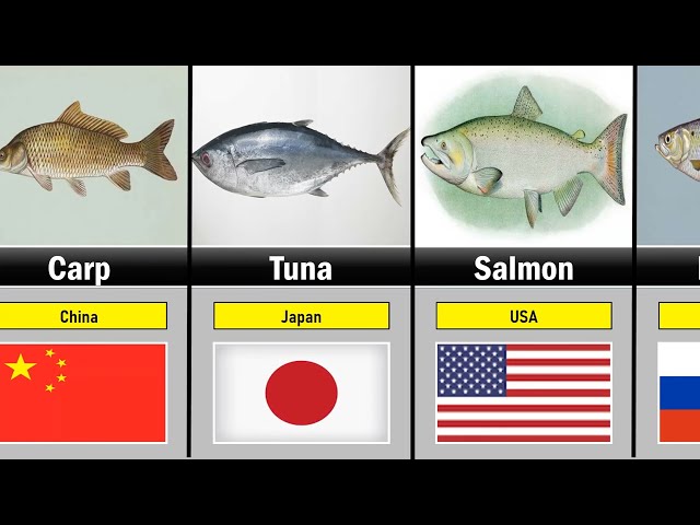 Most Eaten Fish by Country 2026