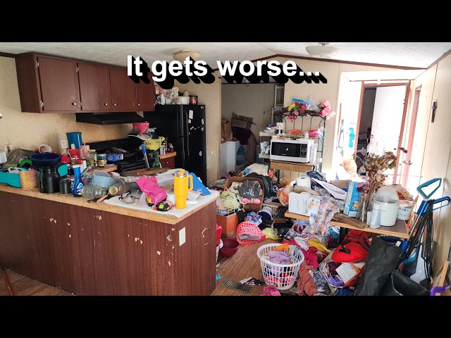 This free cleaning almost made me quit doing this for good