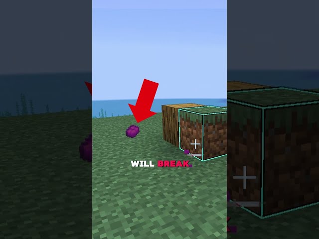 I can walk through walls in Minecraft... 🤯 #minecraft #glitch