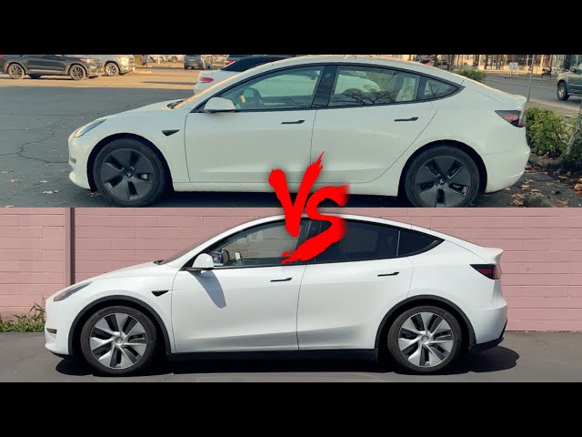 Living With A Model 3 & Y