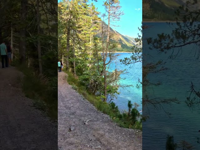 Gravel Riding at Plansee: Pure Alpine Bliss 🏔️🚲 | 4K #shorts #virtualride