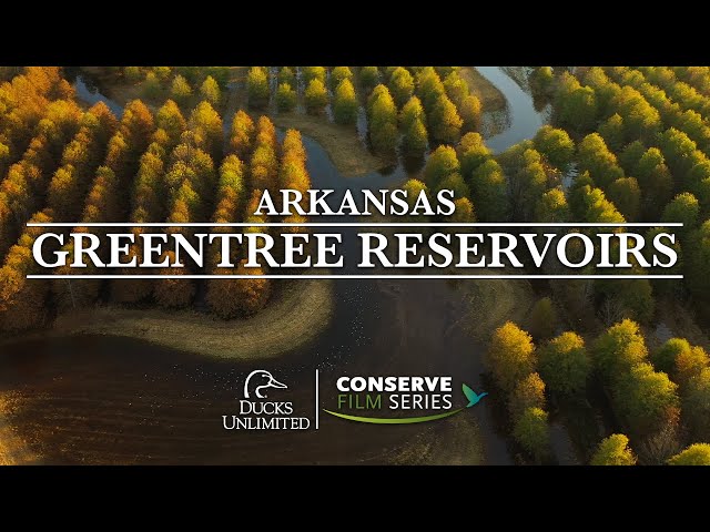 Greentree Reservoirs | DU Conserve
