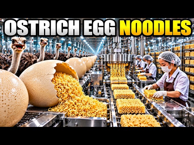 How Giant Ostrich Eggs Could Become Instant Noodles | Full Factory Process