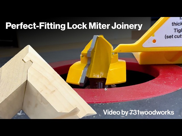 This NEW Woodworking Jig Is CHEATING (genius) video by  @731 Woodworks