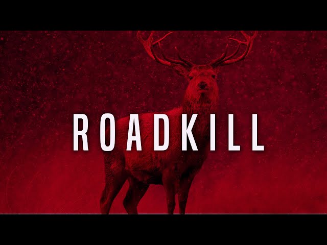 Aggressive Angry Trap Rap Beat Instrumental ''ROADKILL'' Migos Type Dark Trap Drill Beat