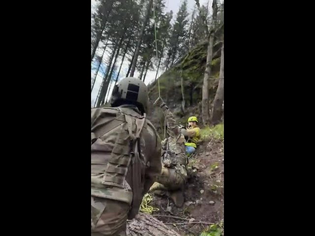 Oregon logger saved after being pinned by falling tree after 'extremely dangerous' rescue
