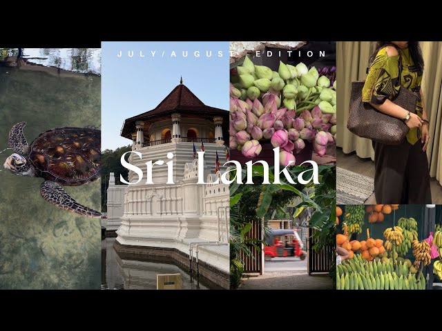 Summer in Srilanka 🪷🐢🌊 | trip to Kandy, elephants, turtles sanctuaries, beaches & more 
