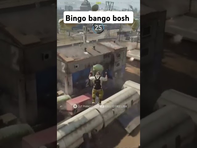 pls sub #codwarzone