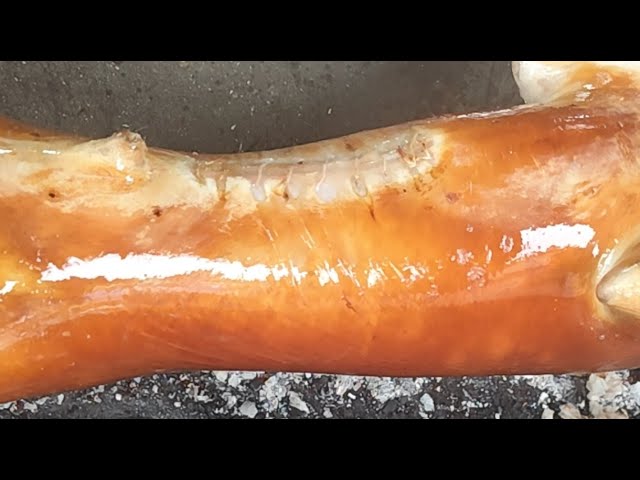 BBQ Grilling a whole giant rat (not dog meat): grilling instructions