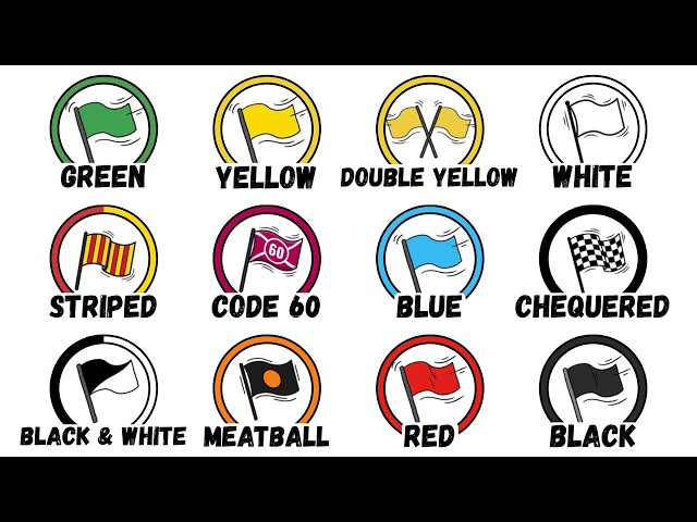 Every F1 Flag Explained in 9 minutes
