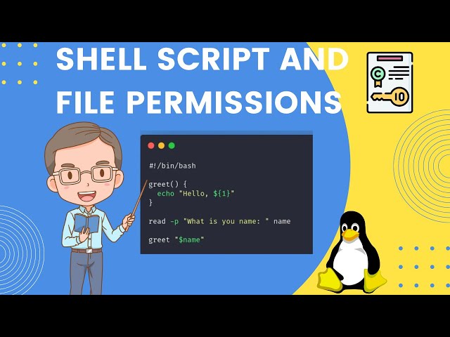 Shell Script and Linux File Permissions: IF ELSE, For Loop, Chmod, and Chown
