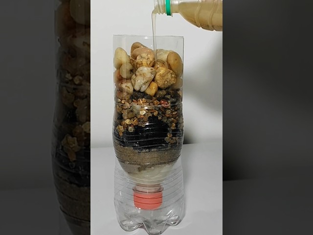 DIY Water Filter #diy #scienceproject #shorts