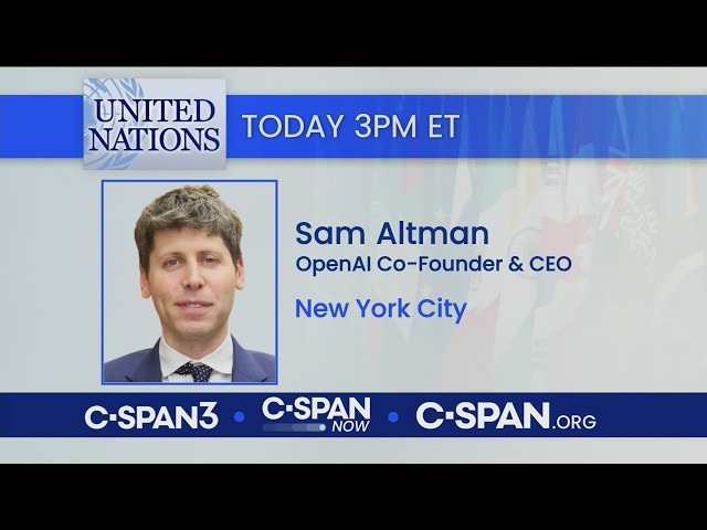 AI CEOs Brief the U.N. Security Council