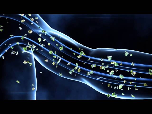 Answers to Drugs: Free Scientology Course