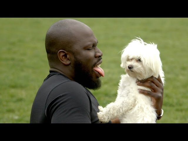Random Acts - Dog Whisperer