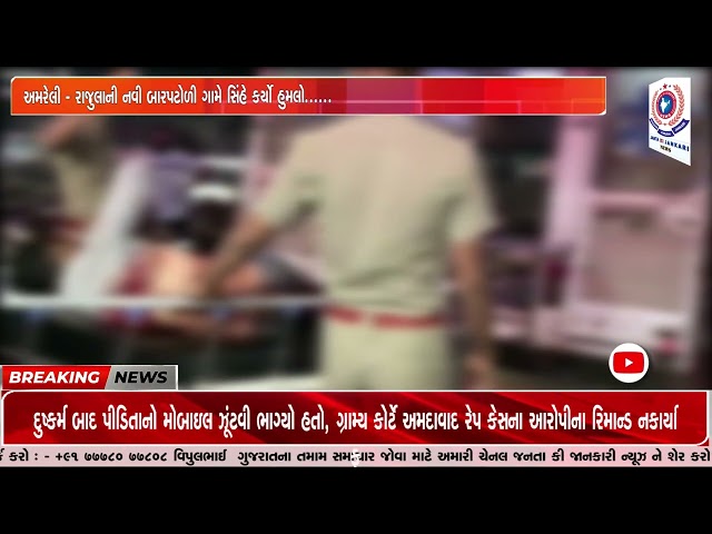 અમરેલી - રાજુલાની નવી બારપટોળી ગામે સિંહે કર્યો હુમલો......