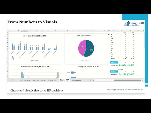 HR Exit Data Visualization in Excel | Charts & Trends Made Simple - Ogugua911