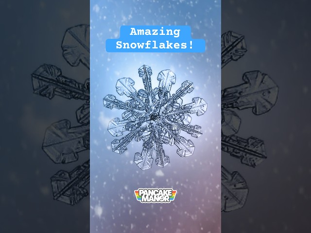 ❄️ Snowflakes are beautiful and amazing! See them close up! #snow #snowflakes #winter
