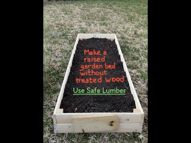 Make a raised garden bed with SAFE LUMBER for your vegetables using this type of untreated wood