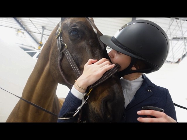A Day in the Life at a Horse Show
