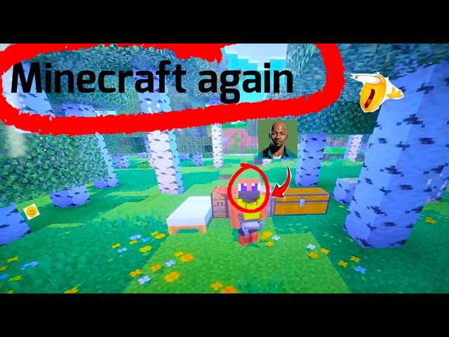 Minecraft Again