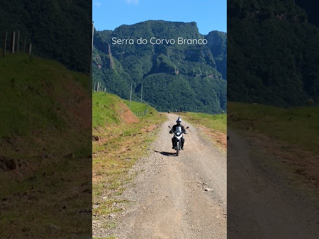 Corvo Branco 2017 - Tiger 800