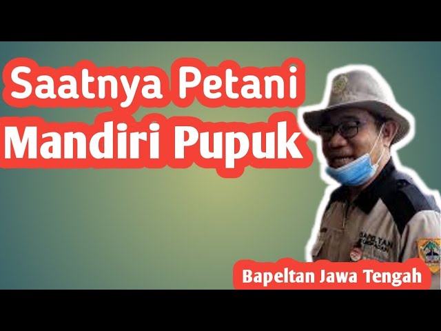 Begini cara petani Mandiri Pupuk #pupukcair #pupukmahal #pupukorganik
