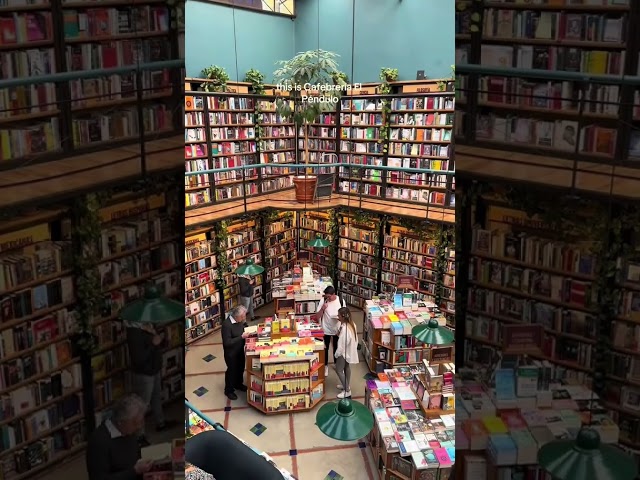 BEST BOOKSTORE IN THE WORLD IN MEXICO? #mexico #bookstore