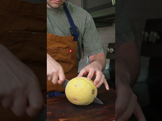 Tuna Melon 🐟 🍈