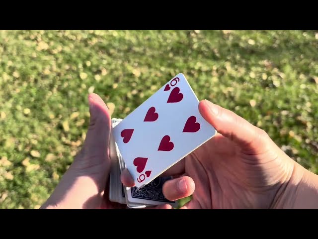 Squoze Jr Tutorial 