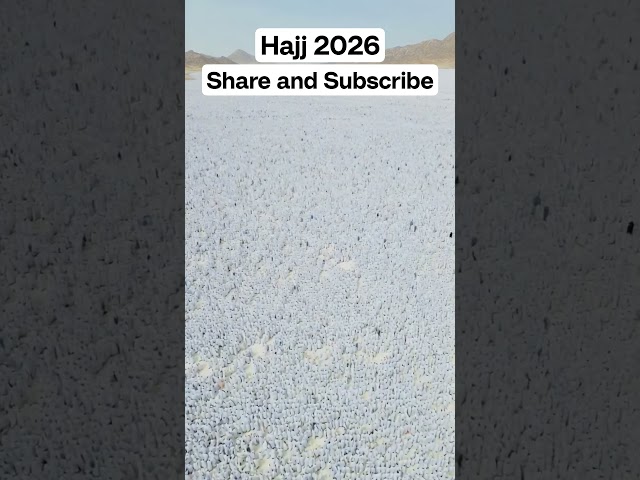 Labbaik Allahumma Labbaik ❤️ | Hajj 2026 | Arafat Maidan Emotional Moments 🕋