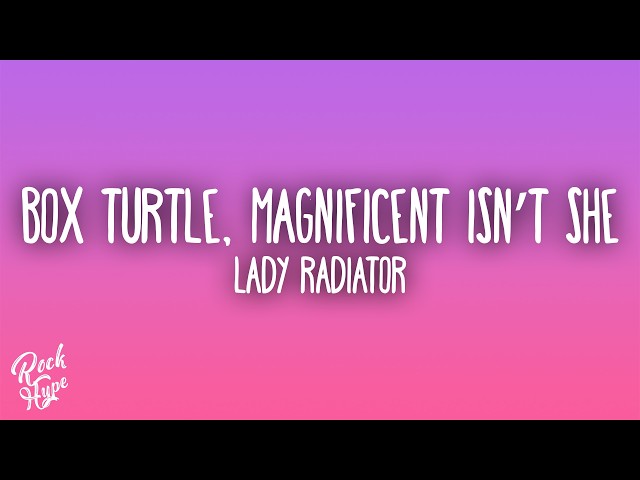 Lady Radiator - Box Turtle, Magnificent Isn’t She