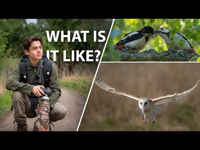 day in the life of a 15 year old wildlife photographer.