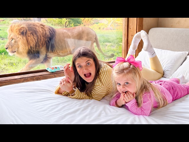 I Took My Family To Sleep With LIONS