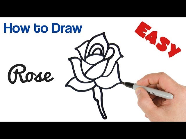 How to Draw a Rose Easy