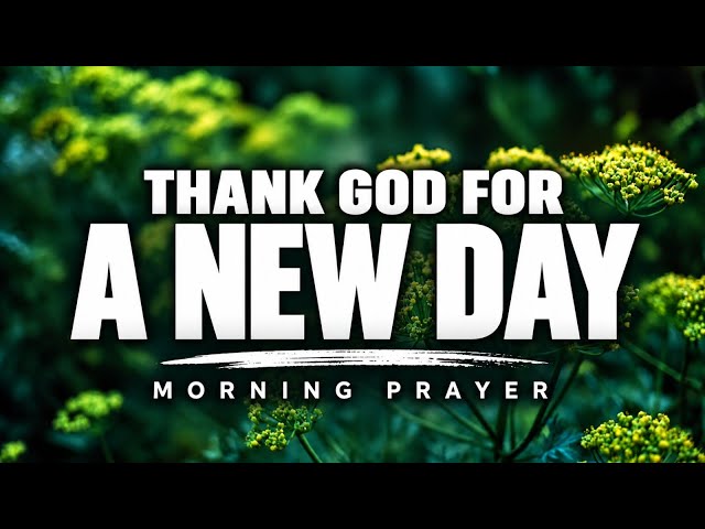 Start This Day With God As Your First Priority | A Blessed Morning Prayer