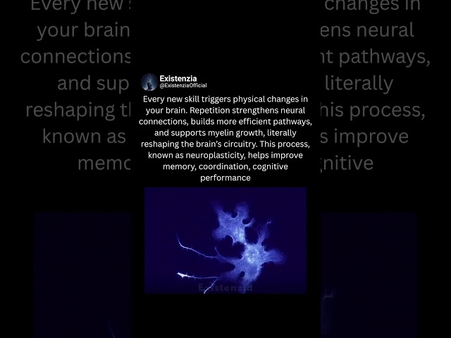 Your Brain Rewires Itself When You Learn
